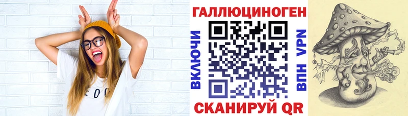 mega ONION  Чехов  Псилоцибиновые грибы Magic Shrooms 